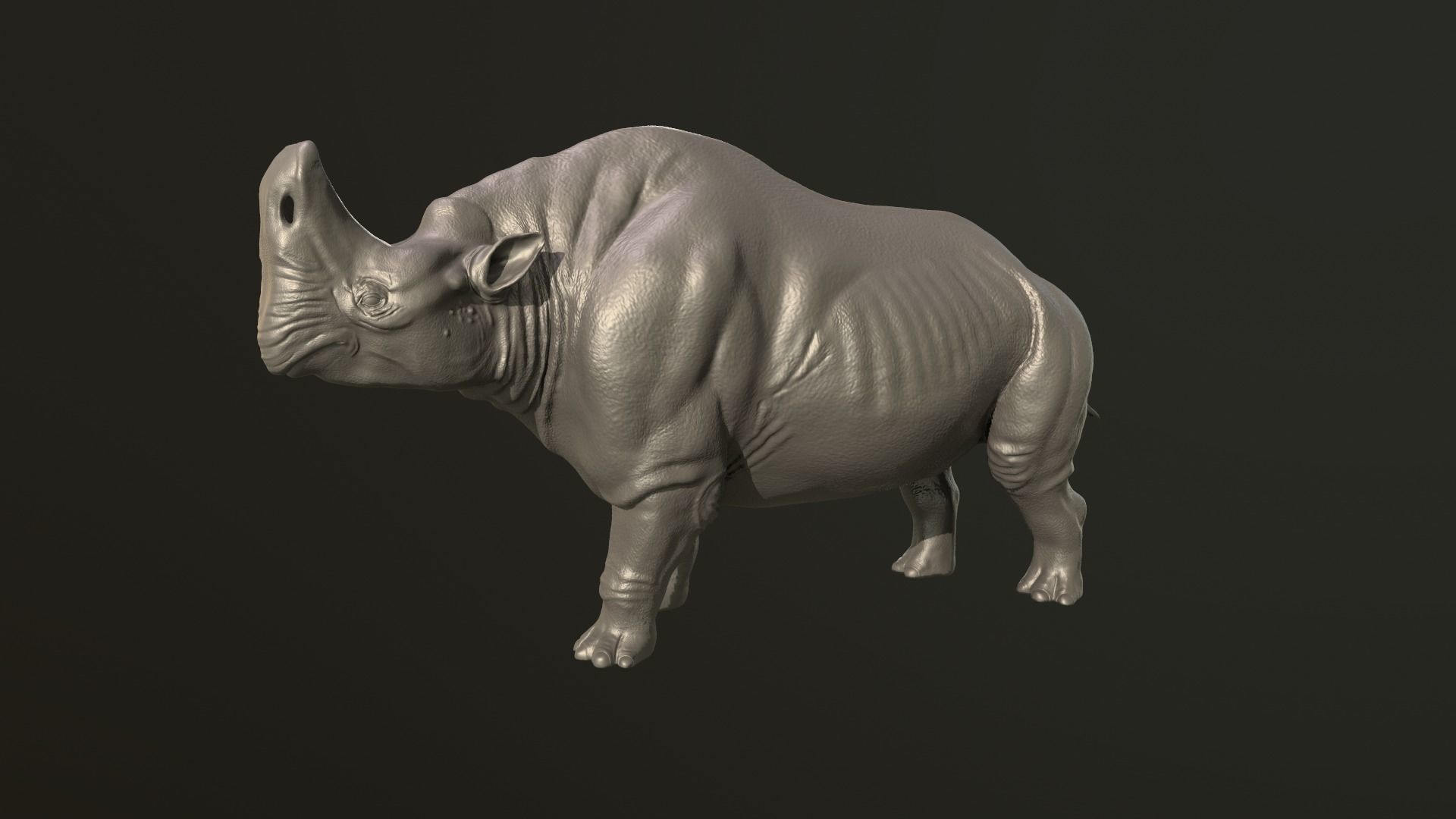 Embolotherium rhino 3D print model_6