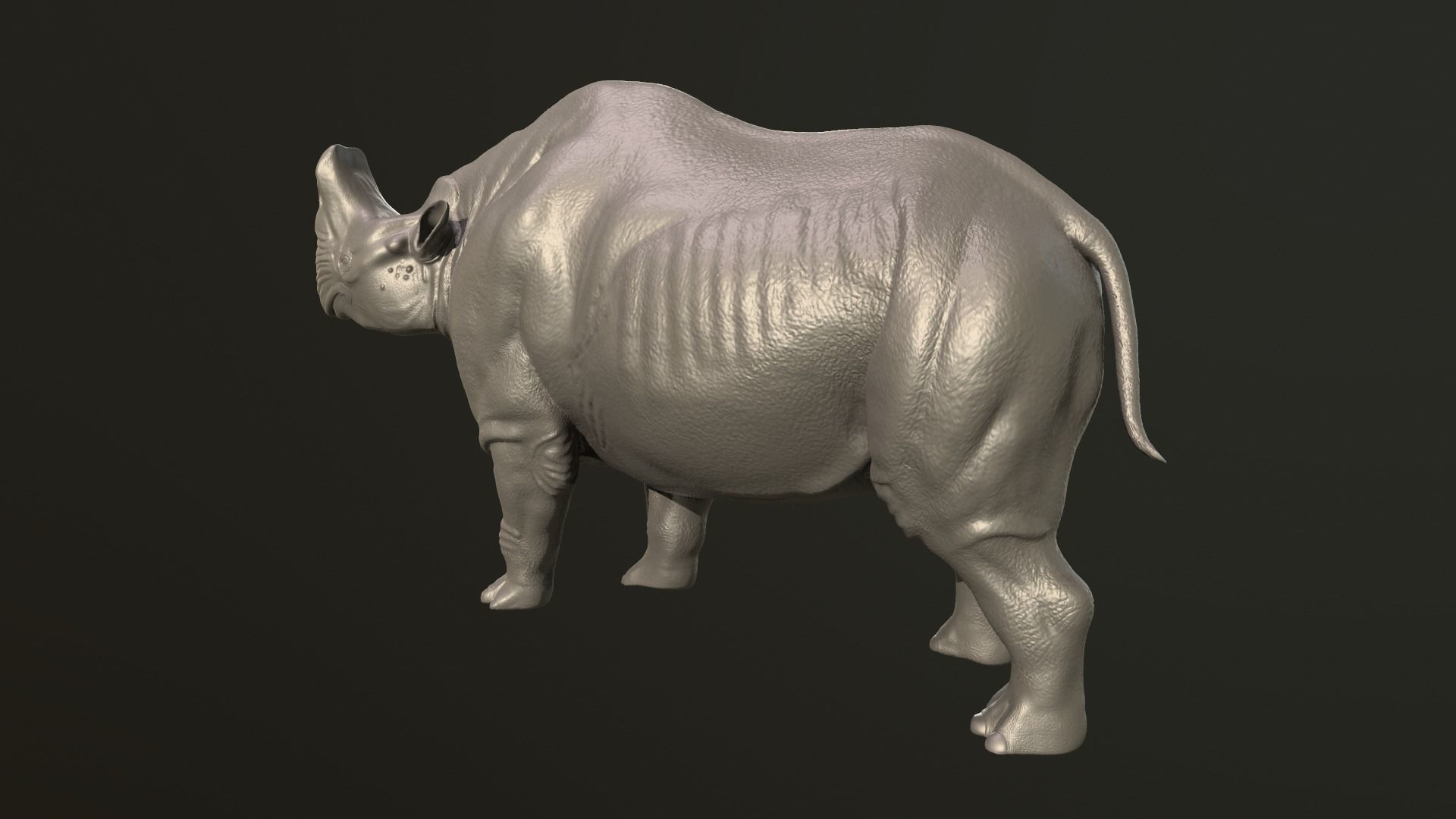Embolotherium rhino 3D print model_5