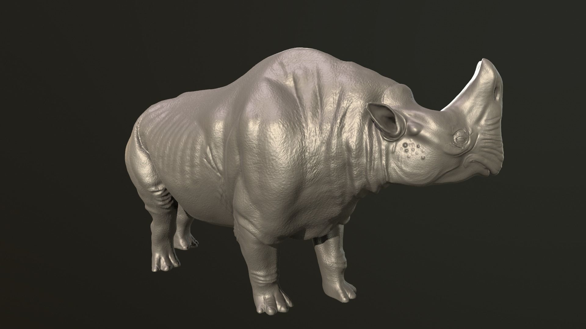 Embolotherium rhino 3D print model_3