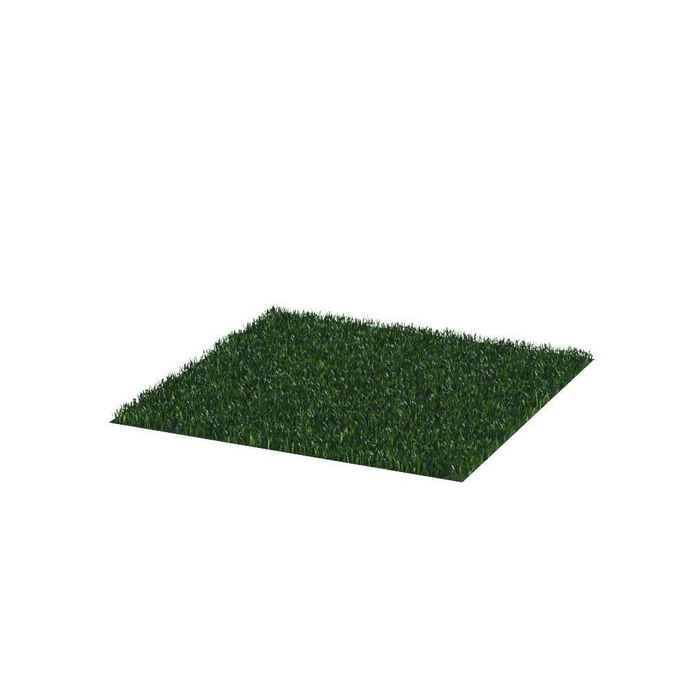 outdoor lawn lawn grass landscape