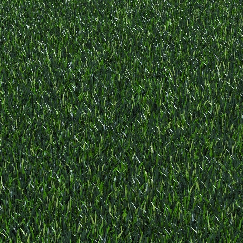 outdoor lawn lawn grass landscape 3D model_1