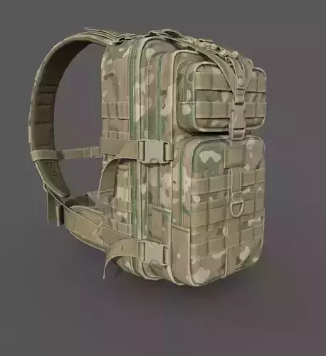 3D RealTime backpack