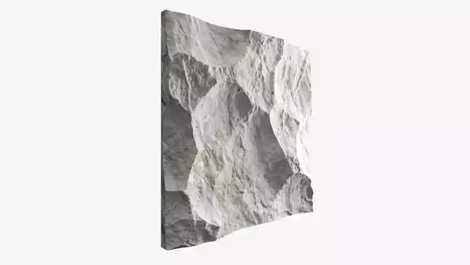 514-RockPanel piece of rock on wall