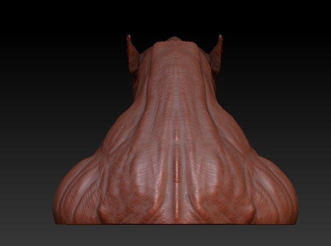 Lycan Head bust open and closed mouth 3D model_6