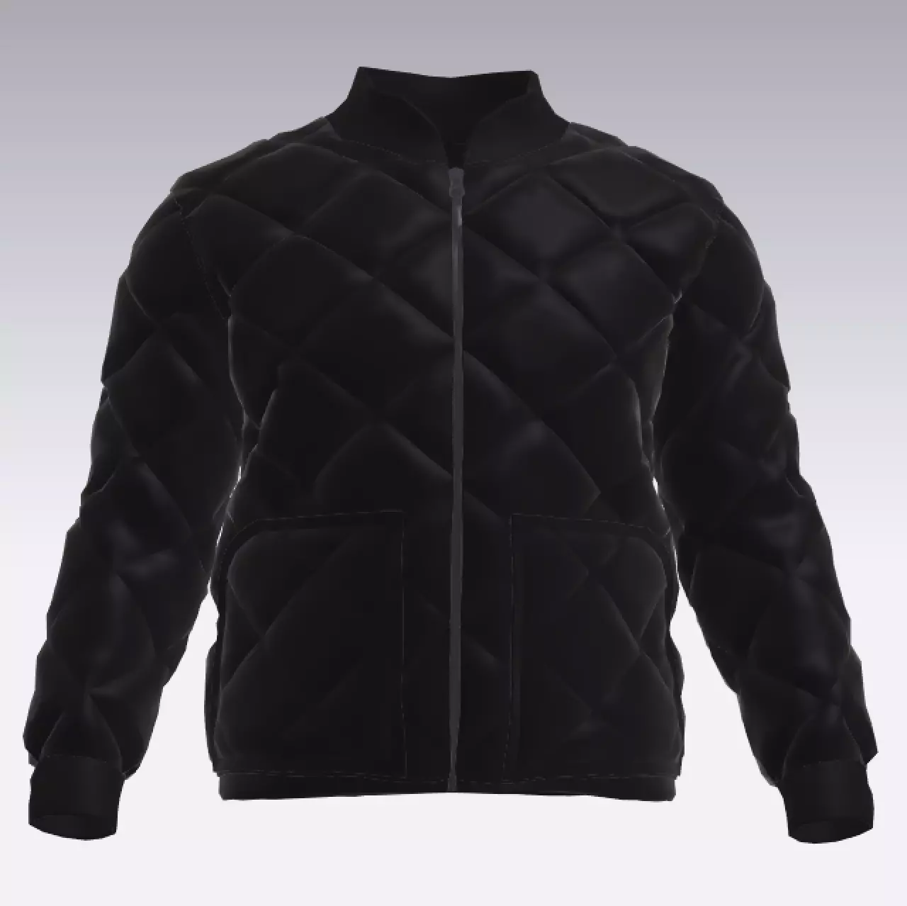 BRAVE JACKET 3D model