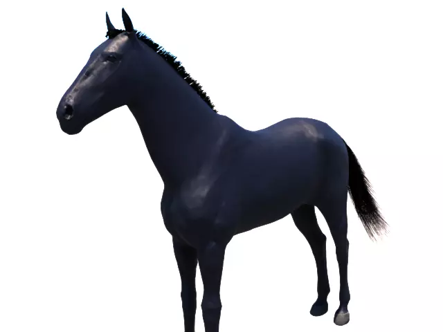 Black Horse for real time and offline rendering Low-poly 3D model