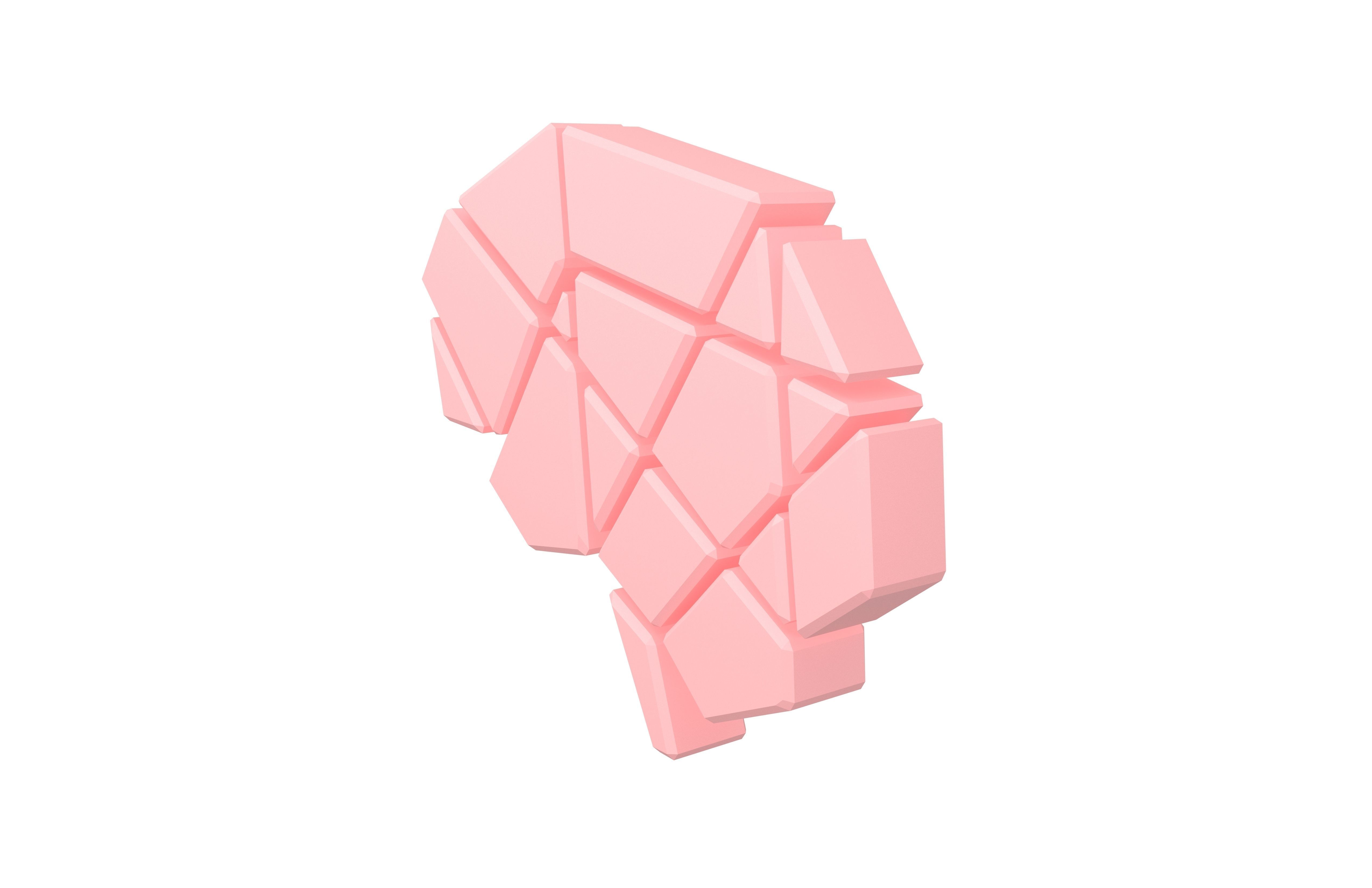Brain Symbol v2 002 Low-poly 3D model_2