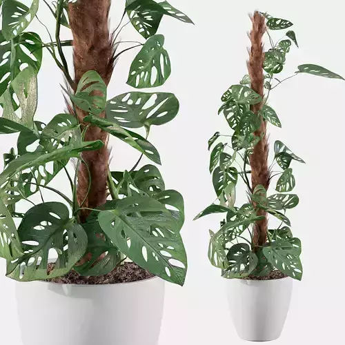 Monstera monkey mask 3D model