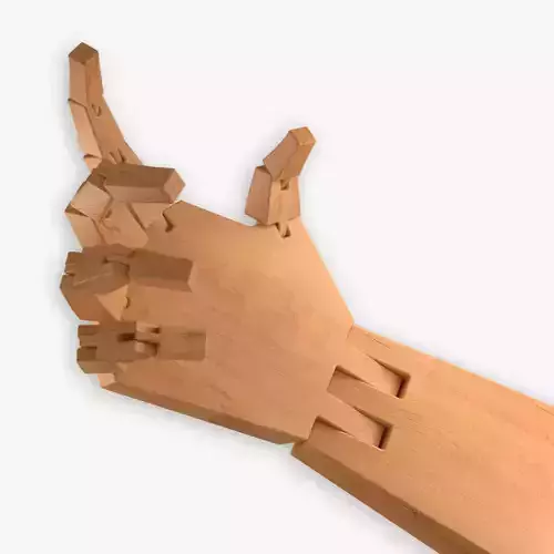 Wooden Hand