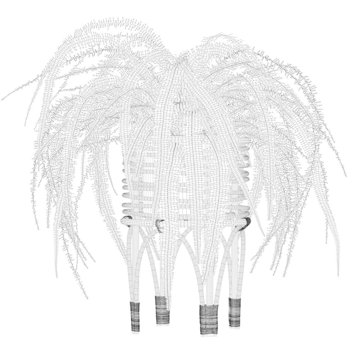 Fern in rattan stand 3D model_3