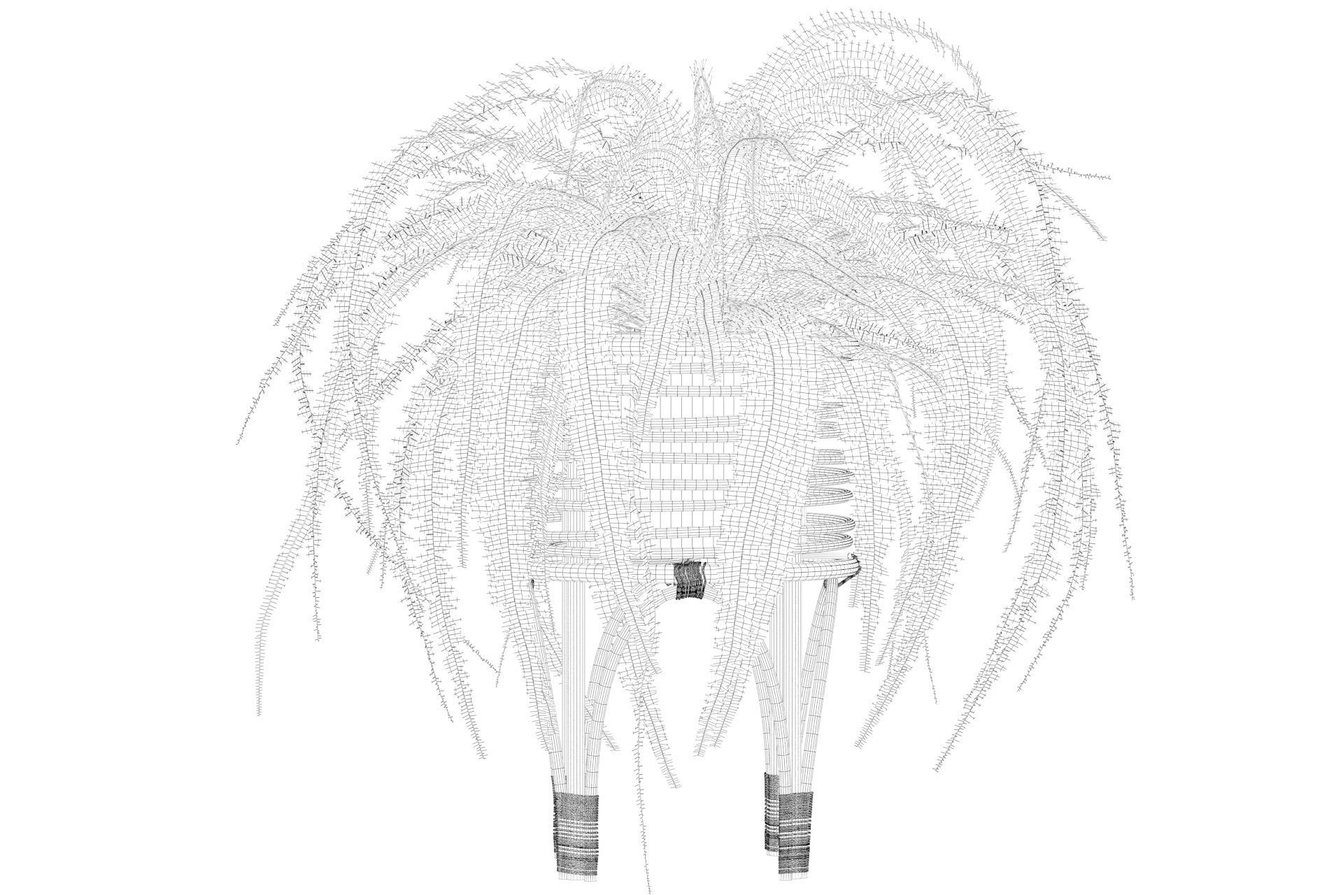 Fern in rattan stand 3D model_4
