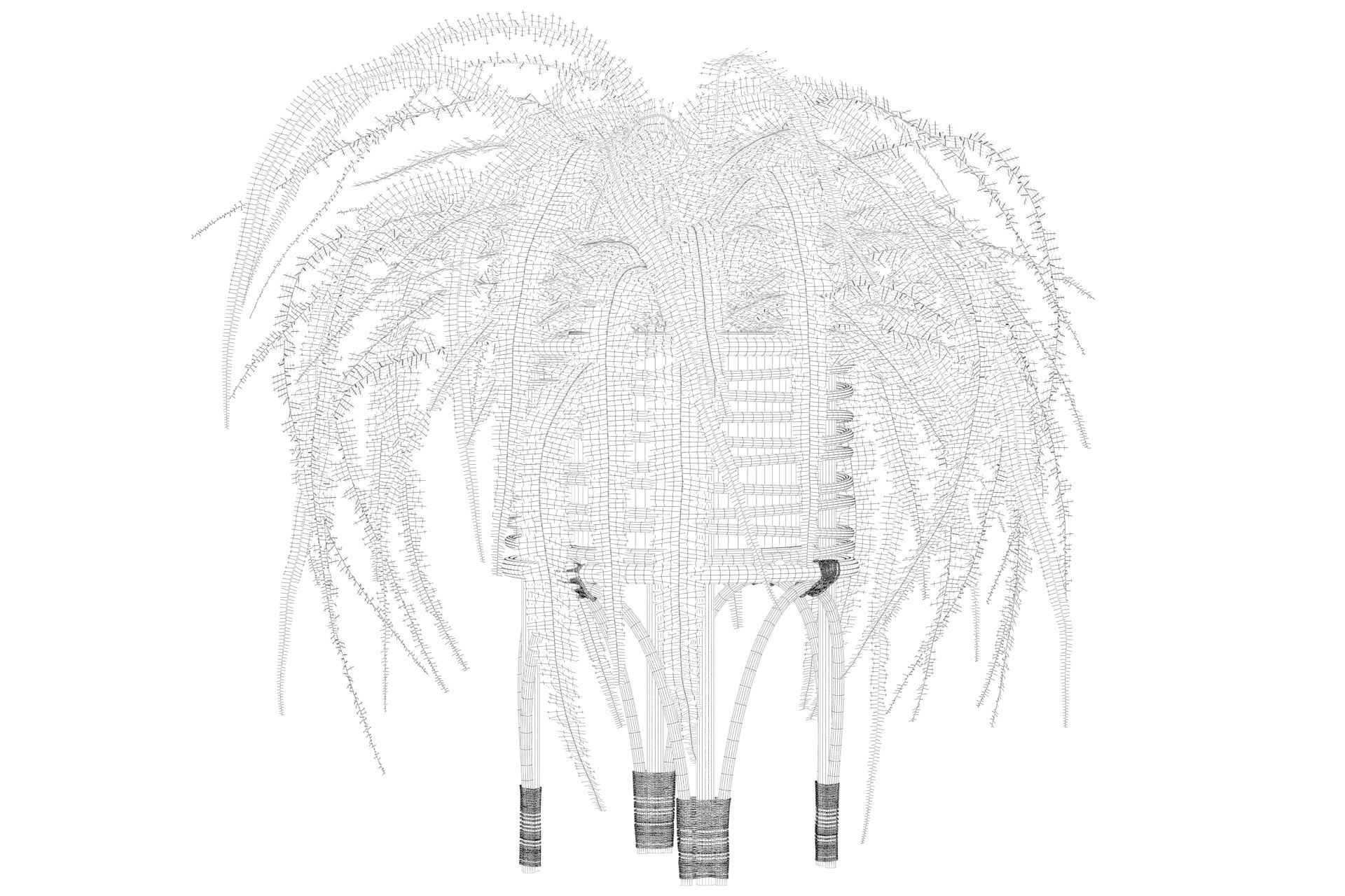 Fern in rattan stand 3D model_5