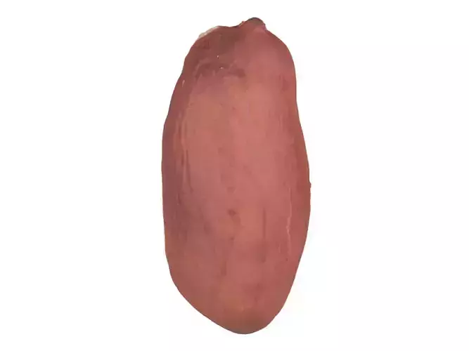 Photorealistic Peanut Kernel 3D Scan