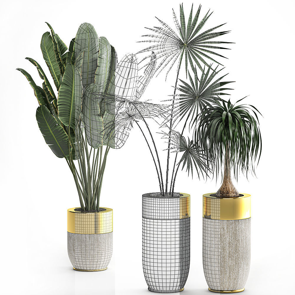 Houseplants in a luxury pot for the interior 705 3D model_6