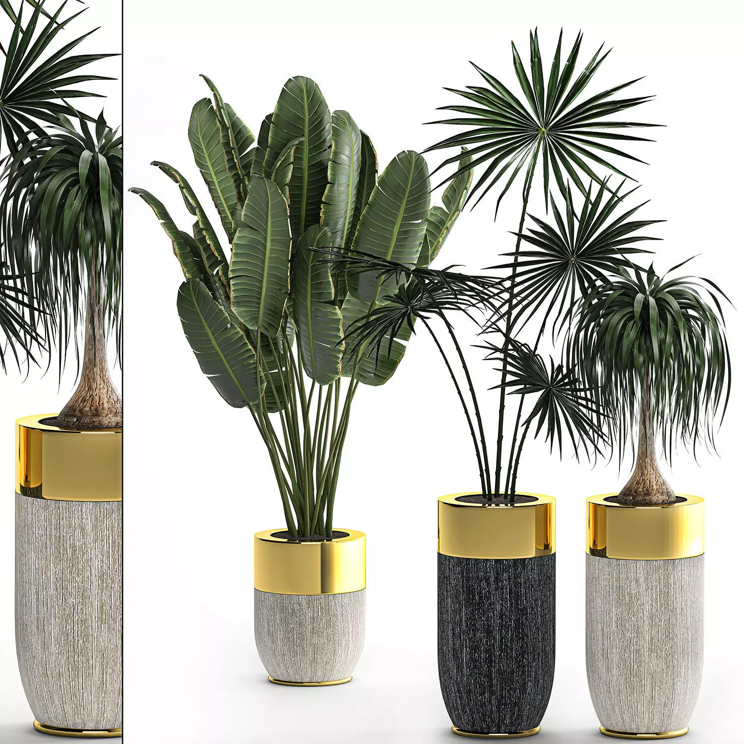 Houseplants in a luxury pot for the interior 705 3D model_0