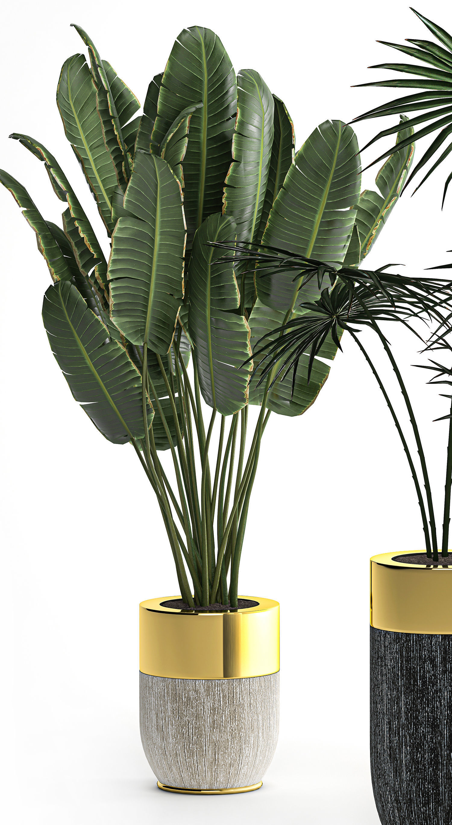 Houseplants in a luxury pot for the interior 705 3D model_5