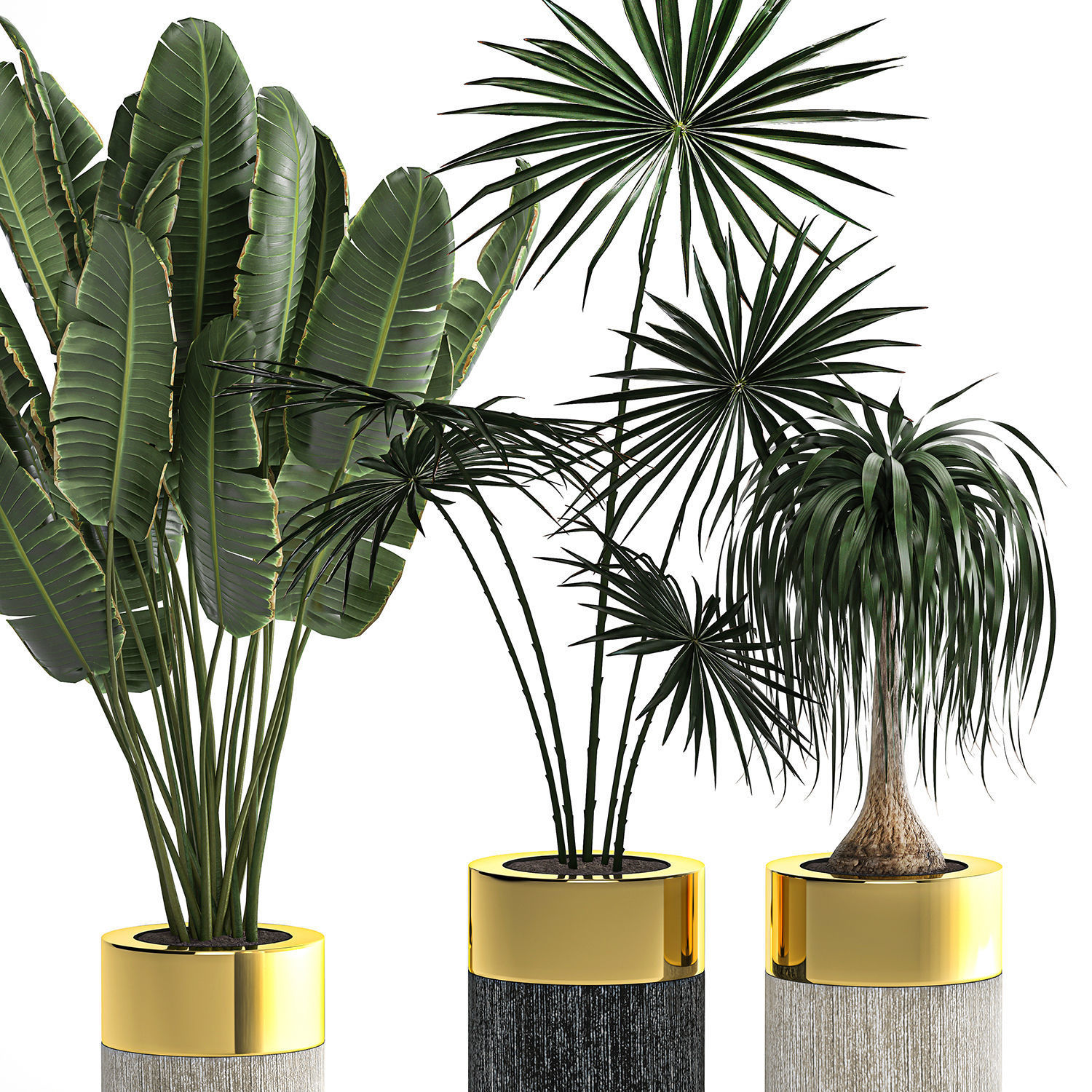 Houseplants in a luxury pot for the interior 705 3D model_4
