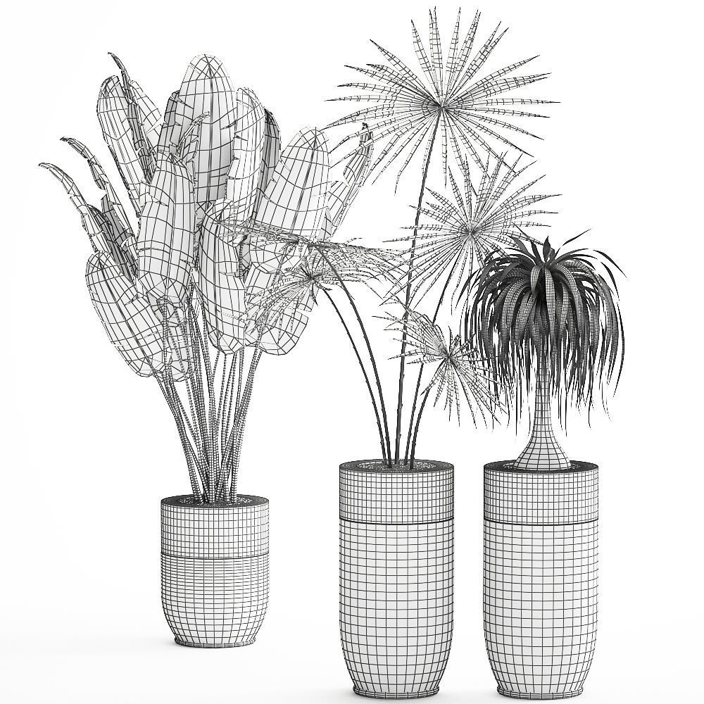 Houseplants in a luxury pot for the interior 705 3D model_8