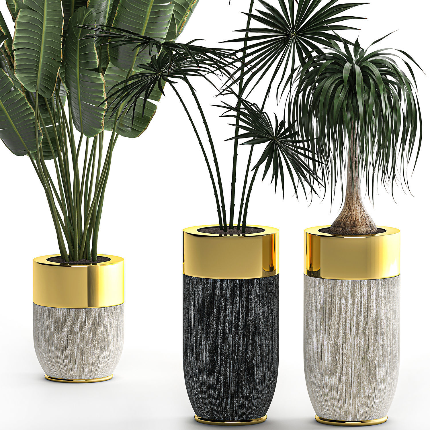 Houseplants in a luxury pot for the interior 705 3D model_3