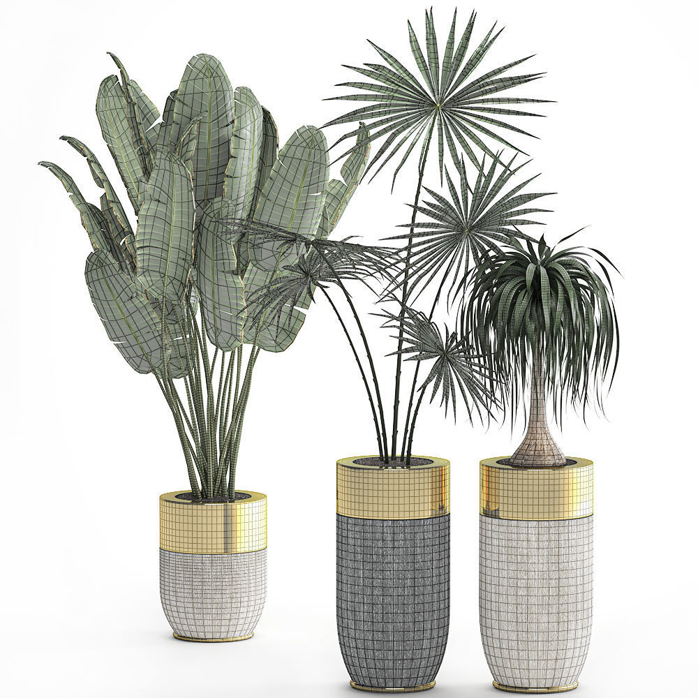 Houseplants in a luxury pot for the interior 705 3D model_7