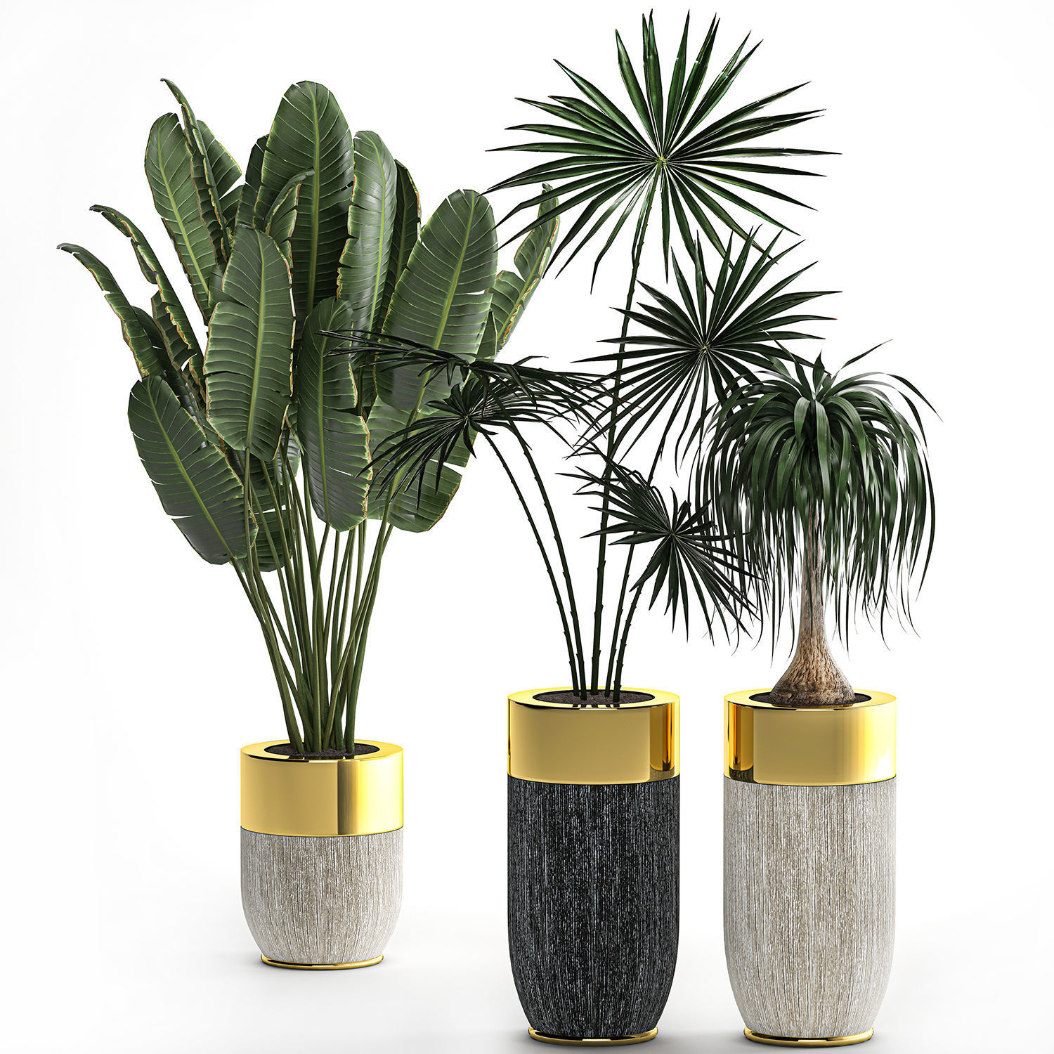 Houseplants in a luxury pot for the interior 705 3D model_1