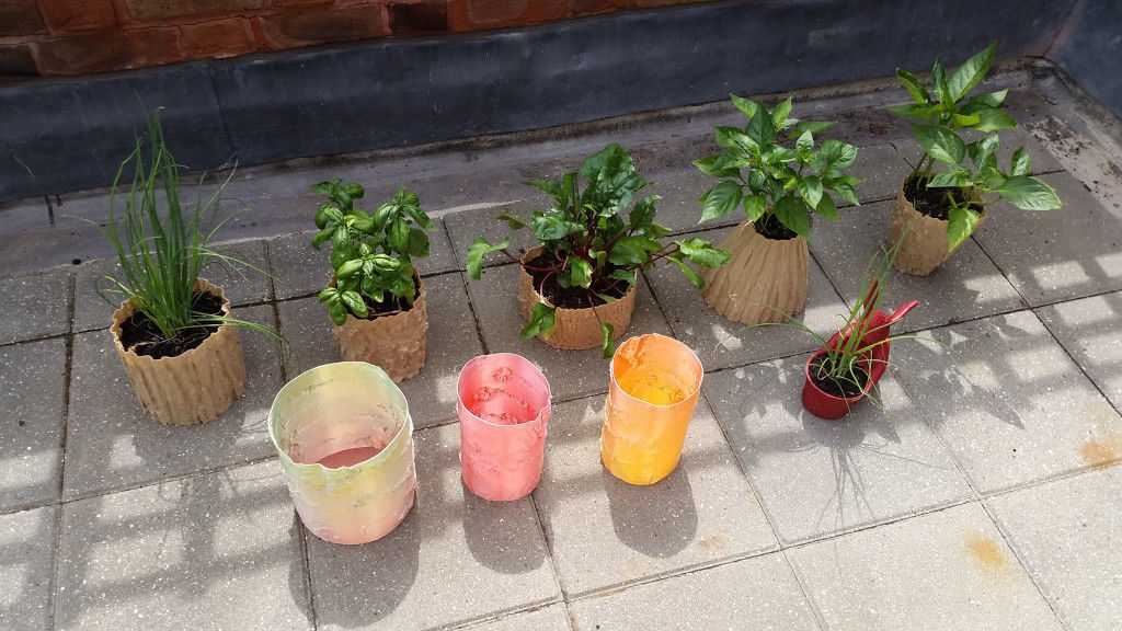 Birch Tree 3D Scan Applied to Functional and Decorative Items Free 3D print model_3