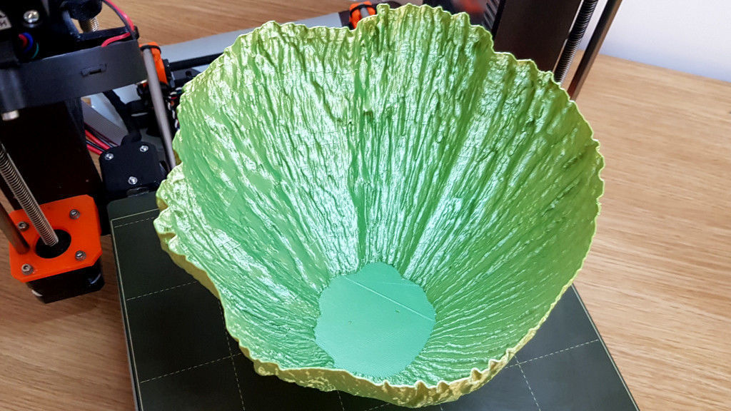 Birch Tree 3D Scan Applied to Functional and Decorative Items Free 3D print model_4