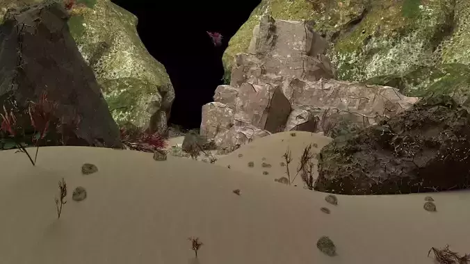 stone desert with rocks and plants