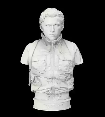 Spider Tom Holland Home Coming 3D print model