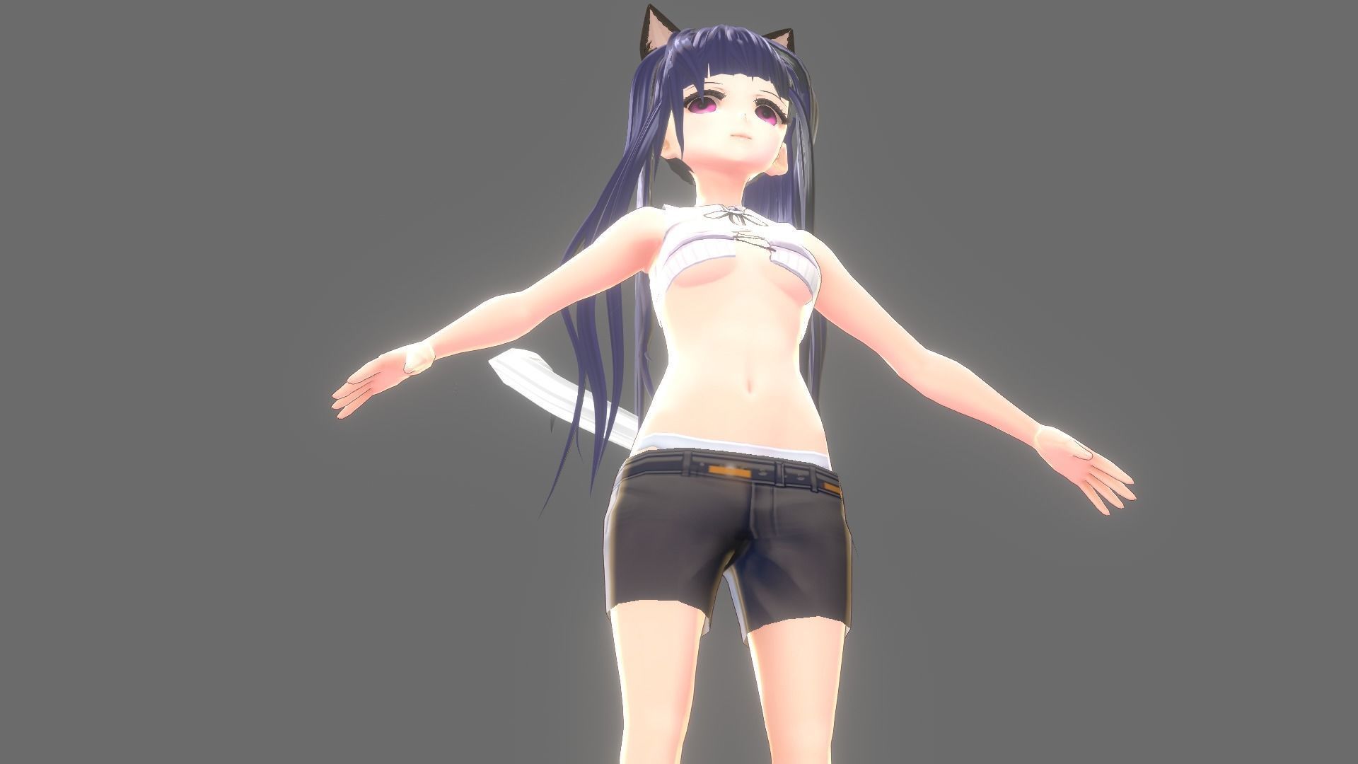 ASIAN GIRL CAT 3D MODEL RIGGED T POSE SHAPE KEYS  NEKO 2 Low-poly 3D model_7