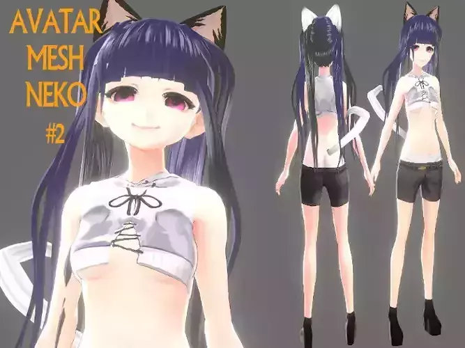 ASIAN GIRL CAT 3D MODEL RIGGED T POSE SHAPE KEYS  NEKO 2 Low-poly 3D model