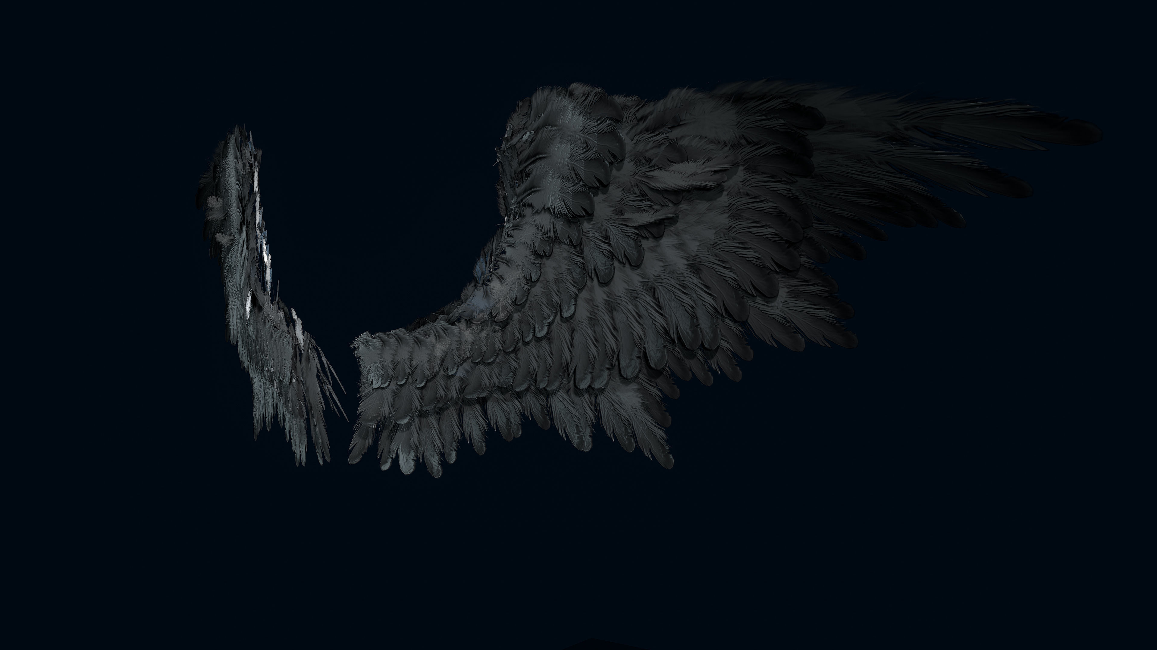 Wings Low-poly 3D model_4