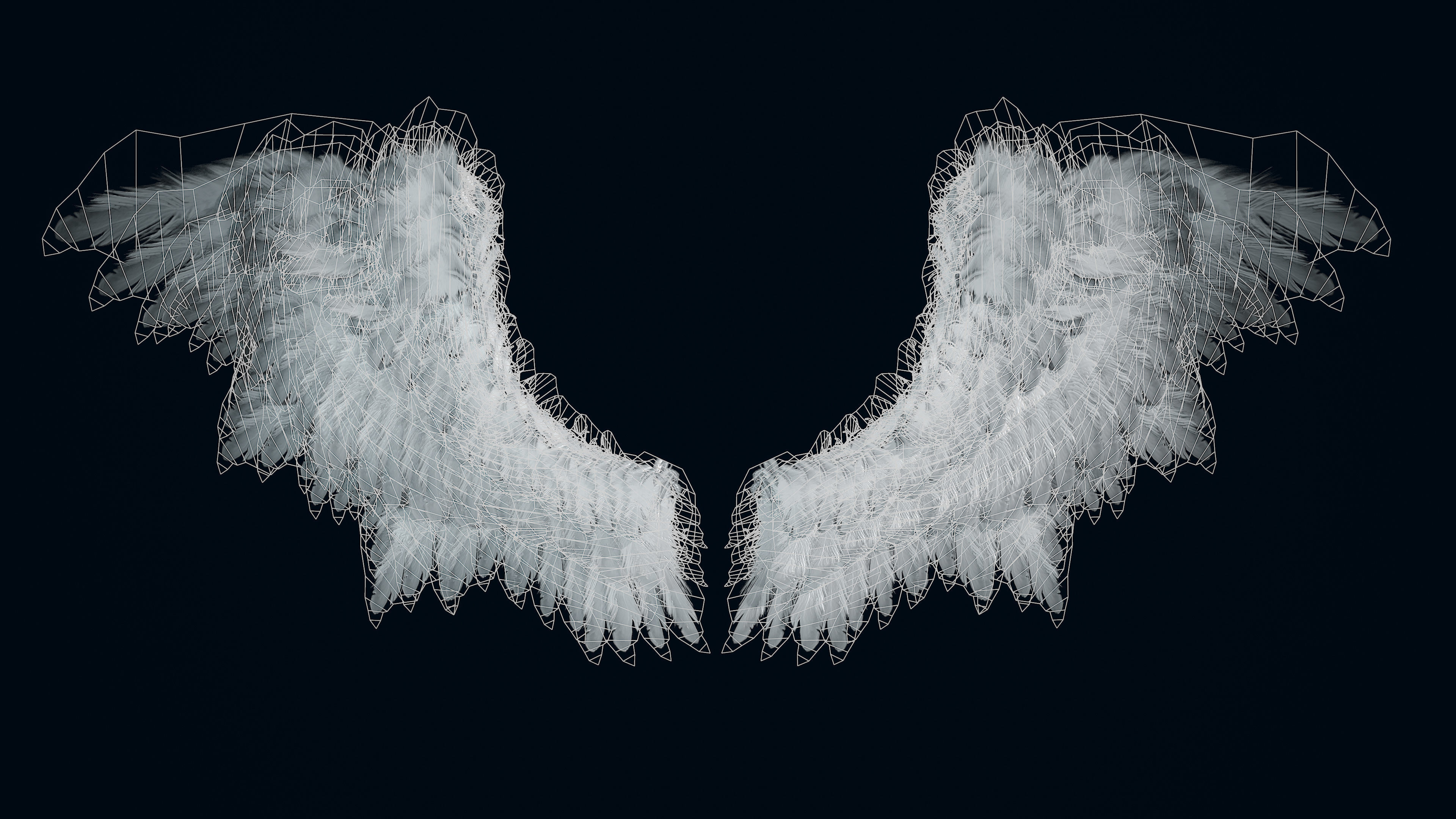 Wings Low-poly 3D model_7