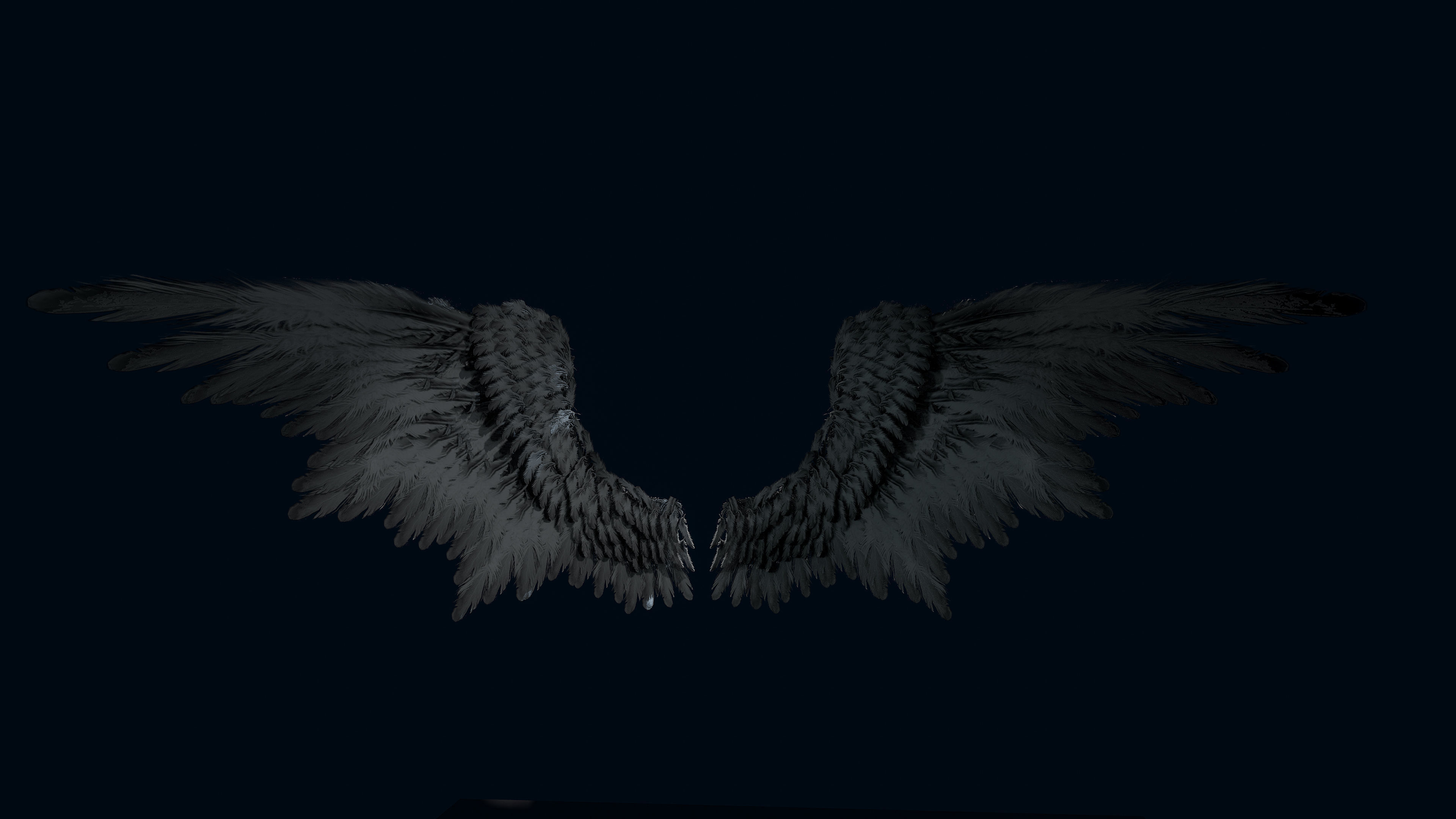 Wings Low-poly 3D model_6