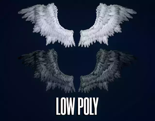 Wings Low-poly 3D model