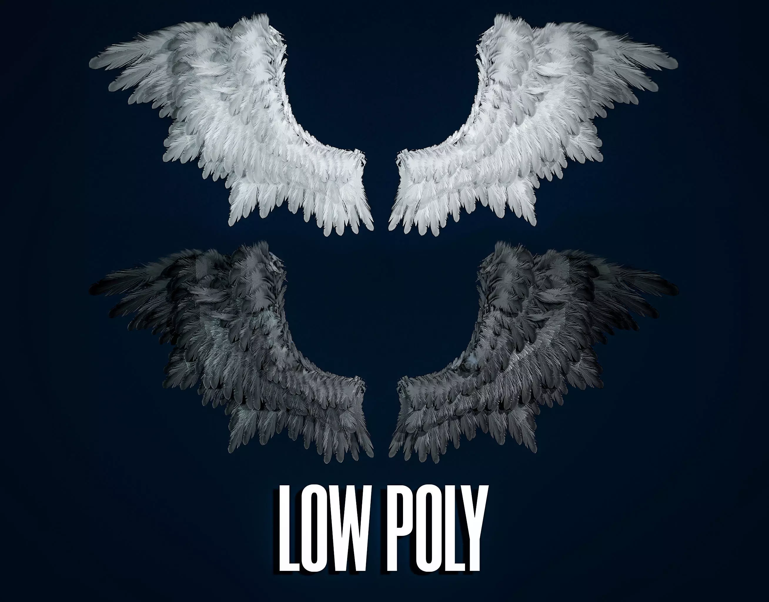 Wings Low-poly 3D model_0