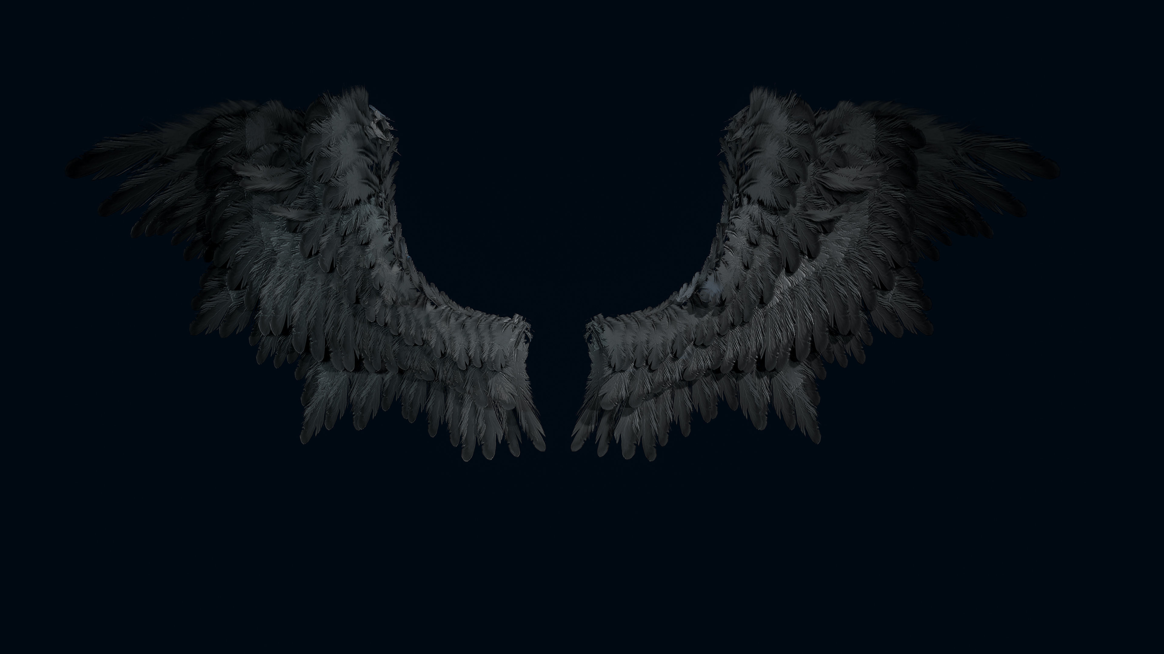 Wings Low-poly 3D model_2