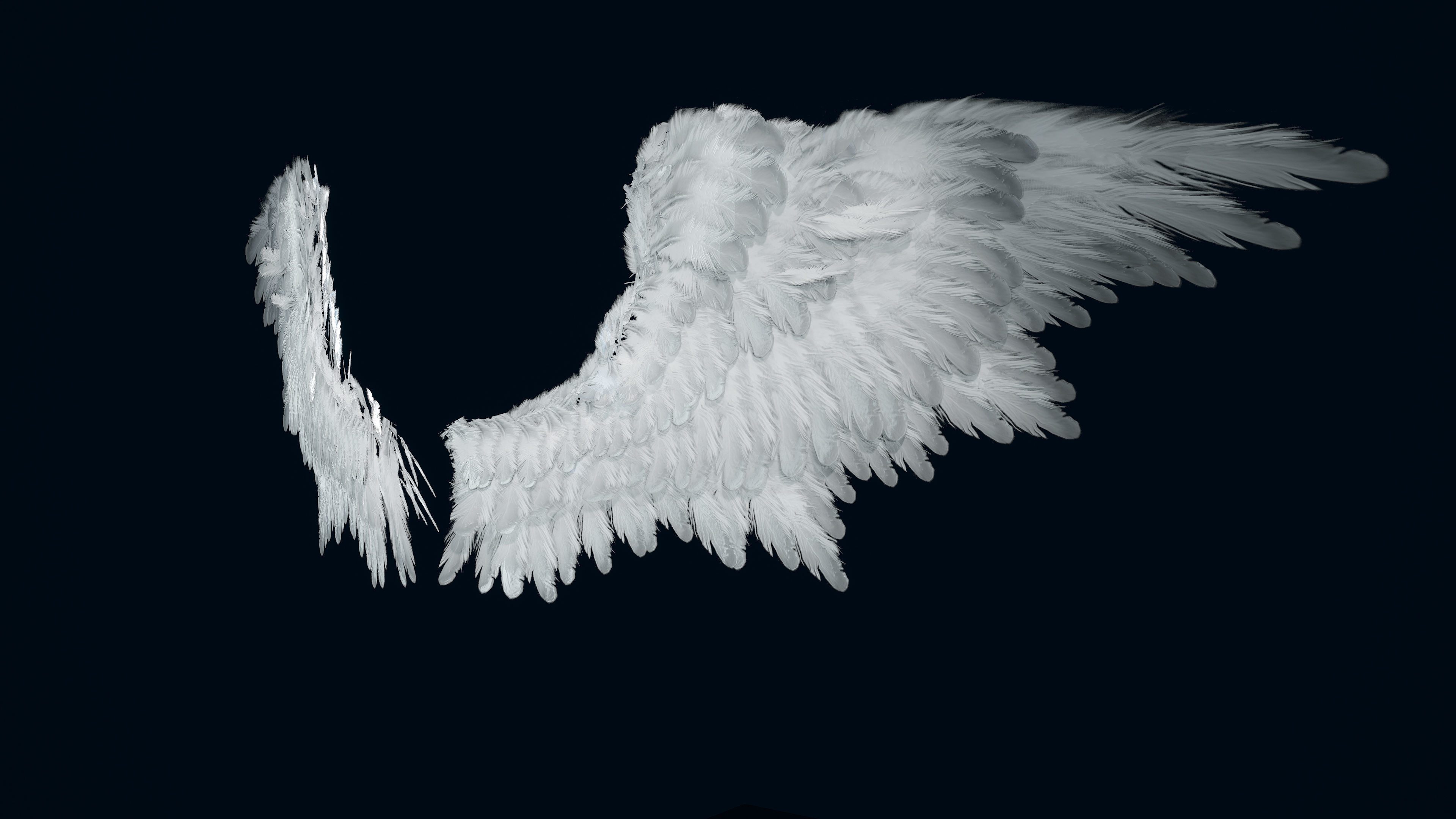Wings Low-poly 3D model_3