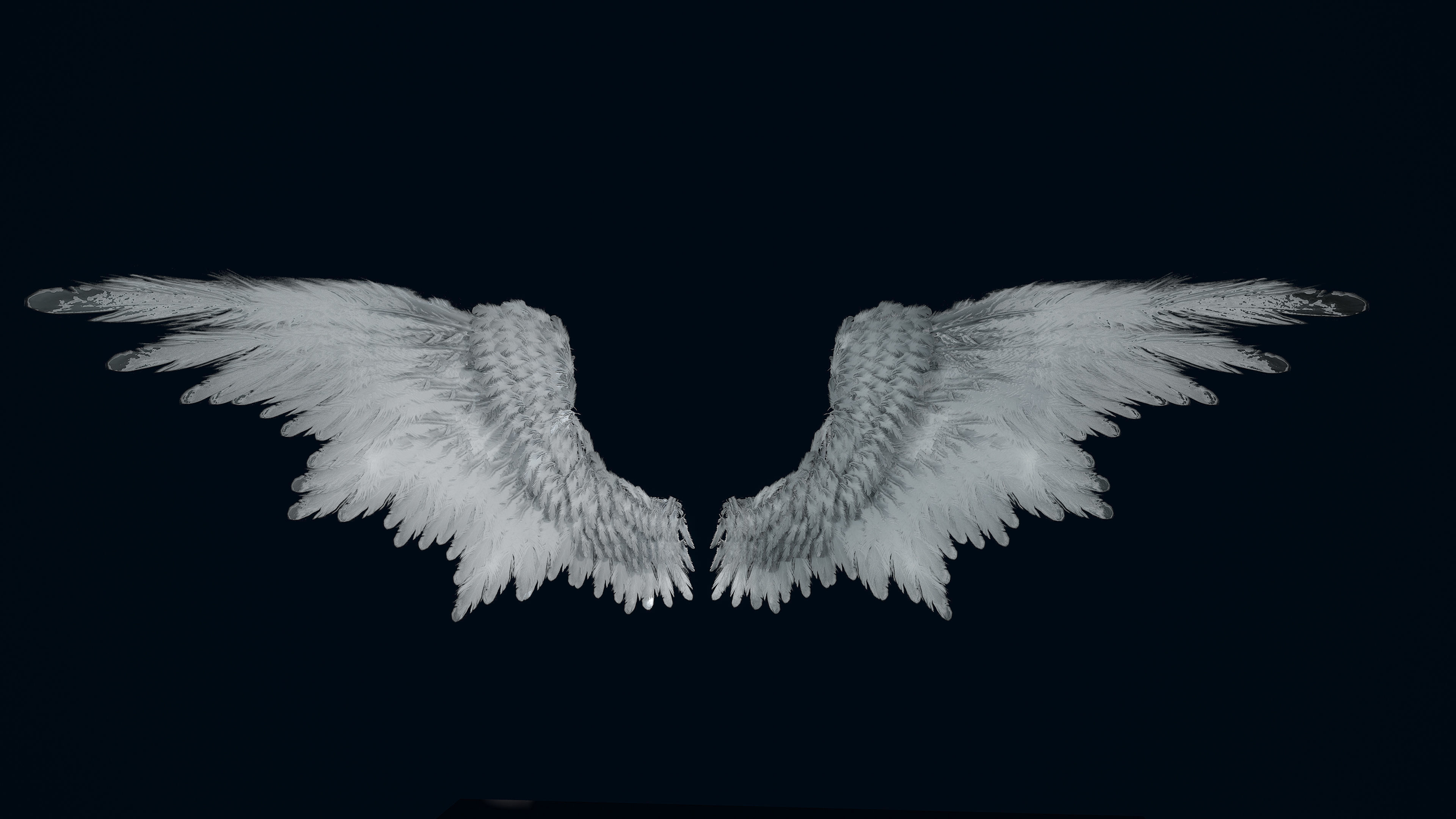 Wings Low-poly 3D model_5