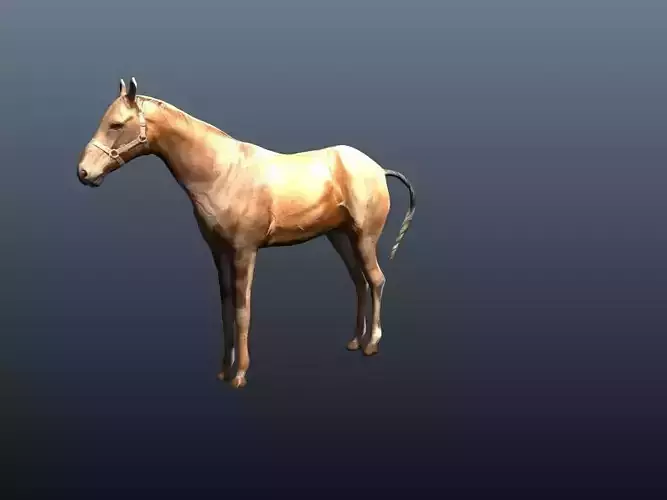 horse 3D model