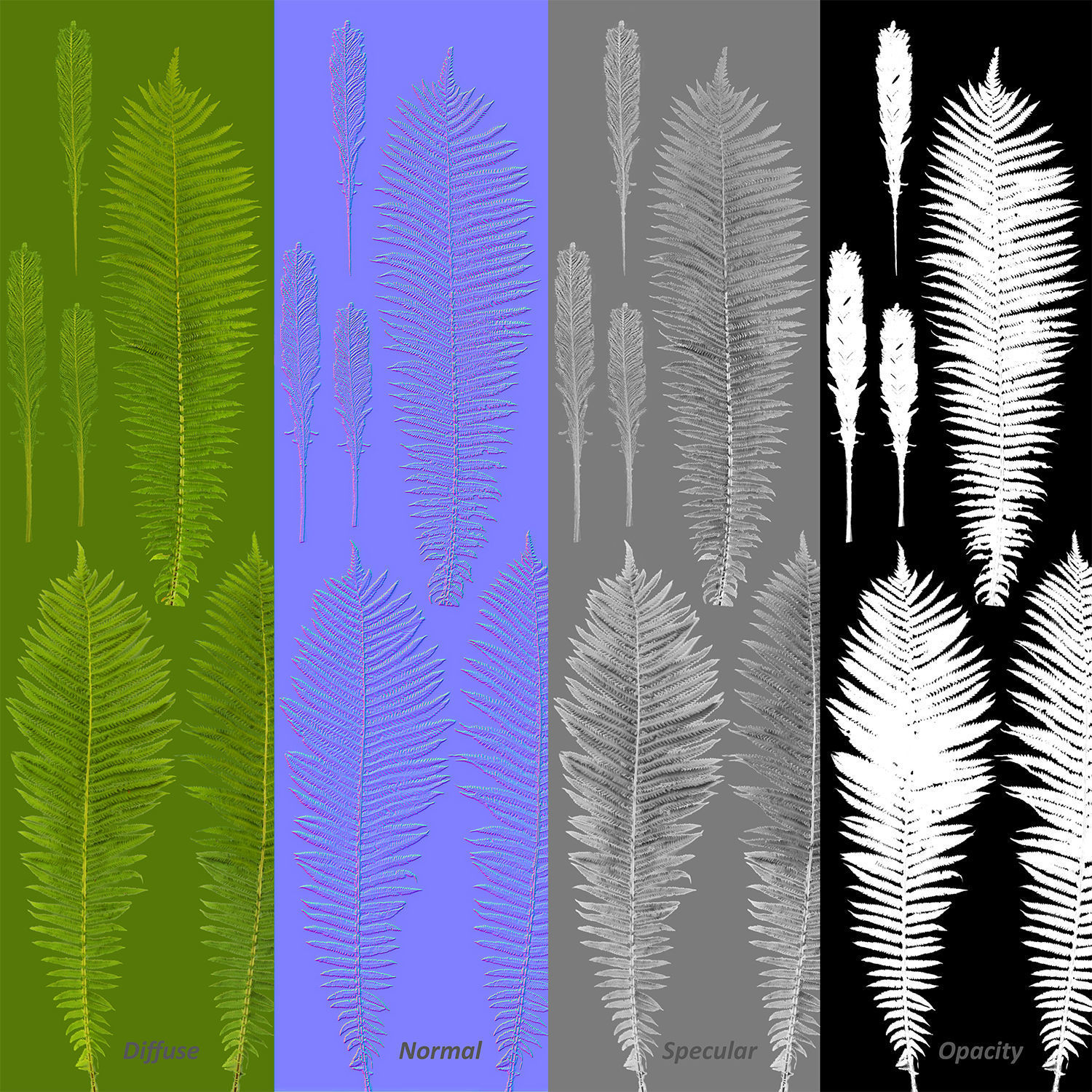 Fern Matteuccia struthiopteris  Low-poly 3D model_6