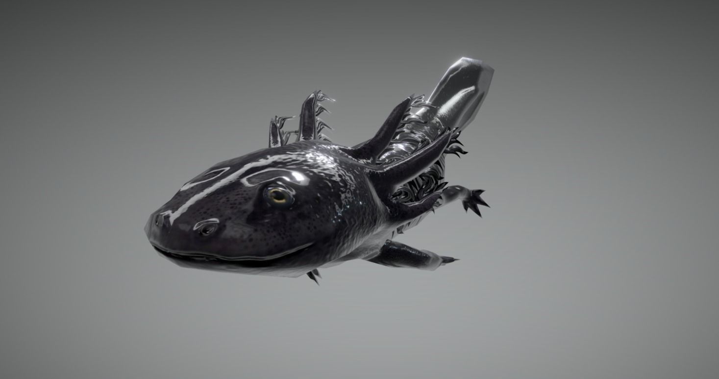 Low poly Axolotl Salamander Low-poly 3D model_0