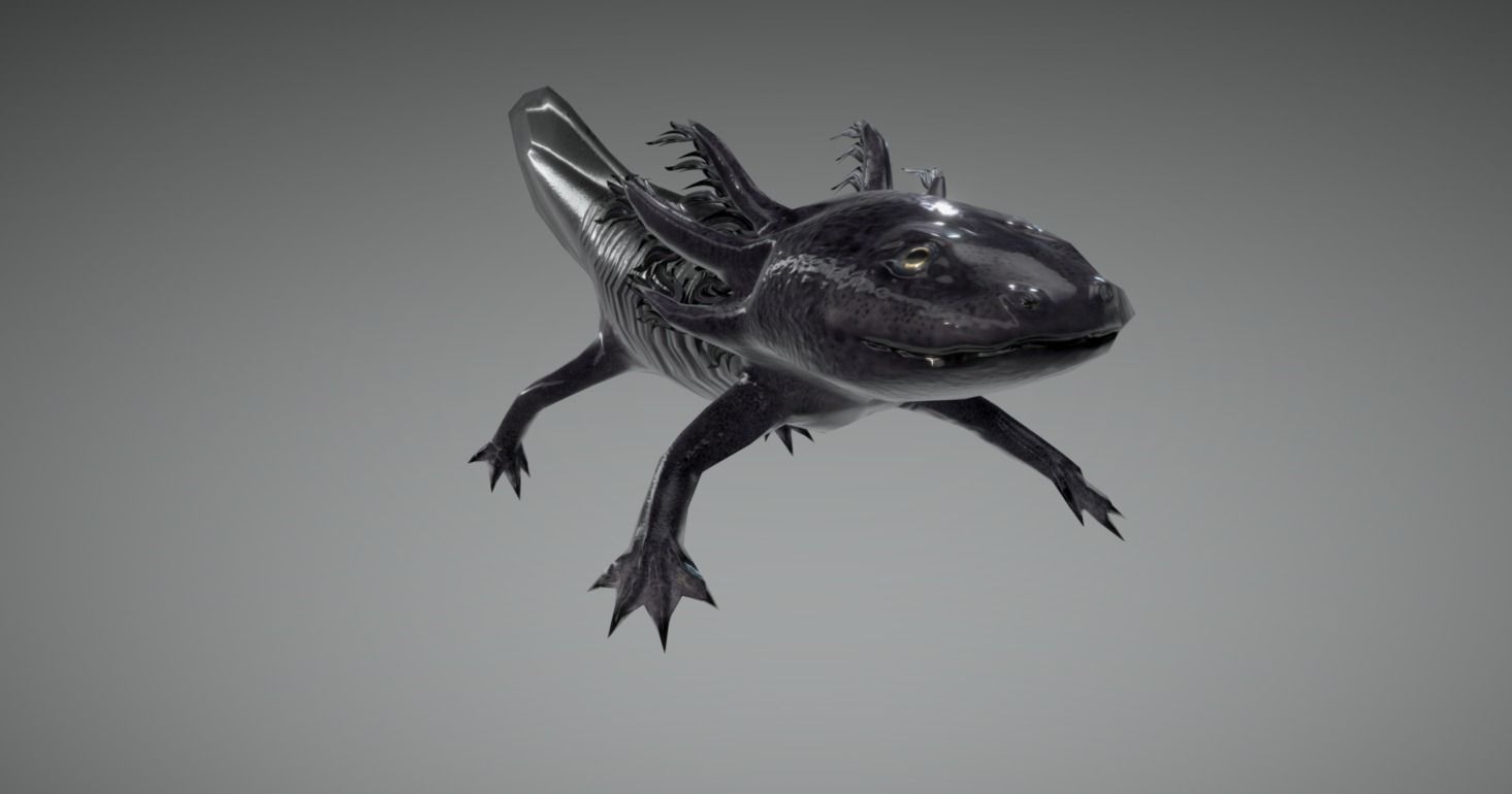 Low poly Axolotl Salamander Low-poly 3D model_2