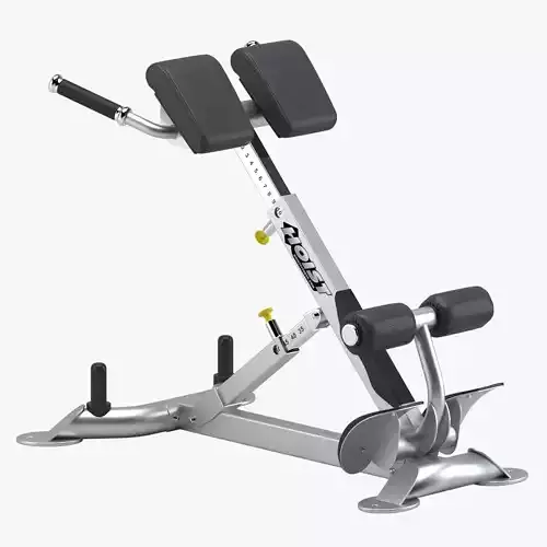 Hoist Hyperextension gym equipment 3D model