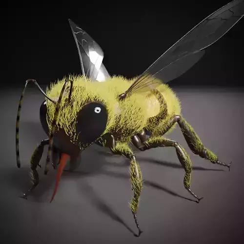 Honey bee 3D model