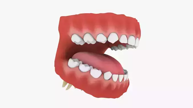 Mouth Teeth Set Teen Low-poly 3D model