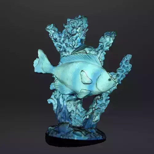 Corail poisson  3D print model
