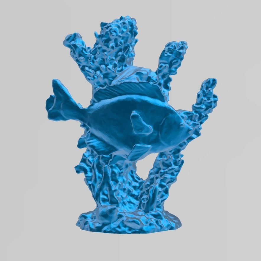 Corail poisson  3D print model_4