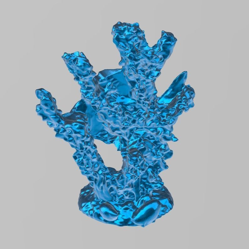 Corail poisson  3D print model_6
