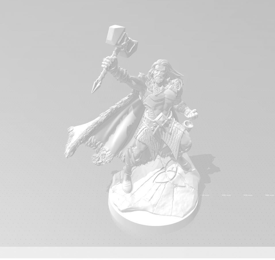 viking 2020 3D PRINT  3D print model_5